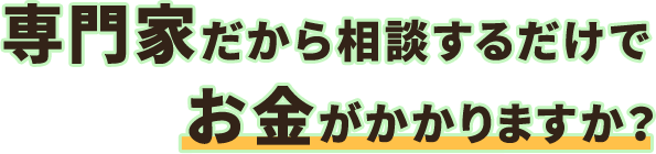 専門家だから相談するだけでお金がかかりますか？